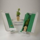 Deodara Cedar Gift Tree Box