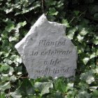 Planted to Celebrate/Tree Dedication Stone (BEST SELLER)
