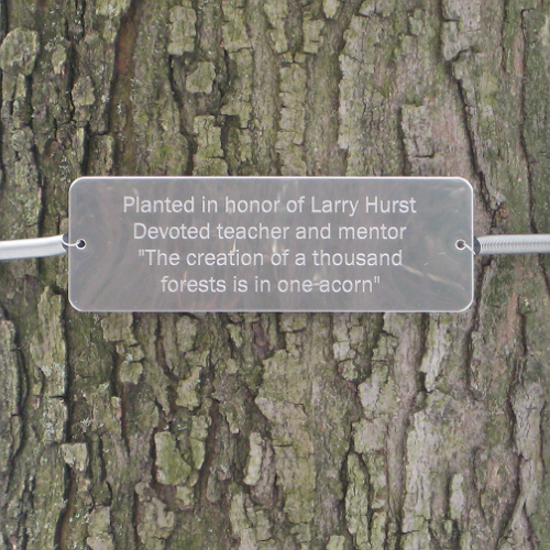 Tree Huggers Tree Plaques - Personalized up to 5 LINES - Click Image to Close