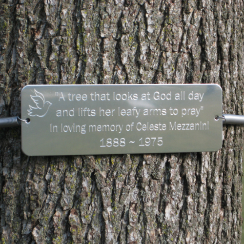 Tree Huggers Tree Plaques - Personalized up to 5 LINES - Click Image to Close