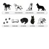 Dog - Cat Wind Chime. Personalized (BEST SELLER)