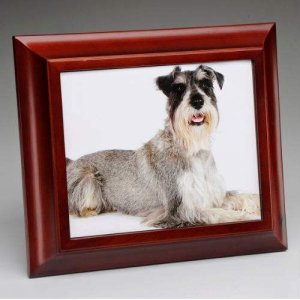 Photo Frame Pet Urn (NEW ITEM!)